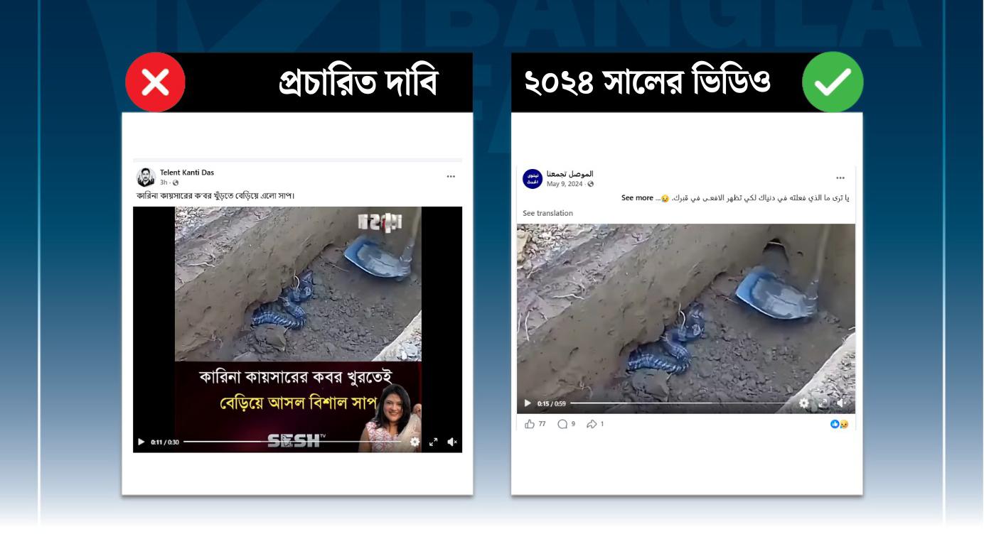 কারিনা কায়সারের কবর খোঁড়ার সময় সাপ বেরোনোর দাবিটি অসত্য,
ভিডিওটি পুরোনো
